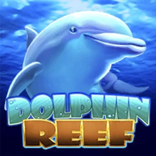 Dolphin-Reef